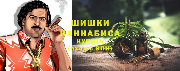 шишки Алексин