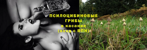 соль ск Абаза