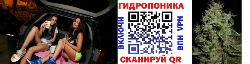 купить закладку mega сайт Марихуана OG Kush Кингисепп